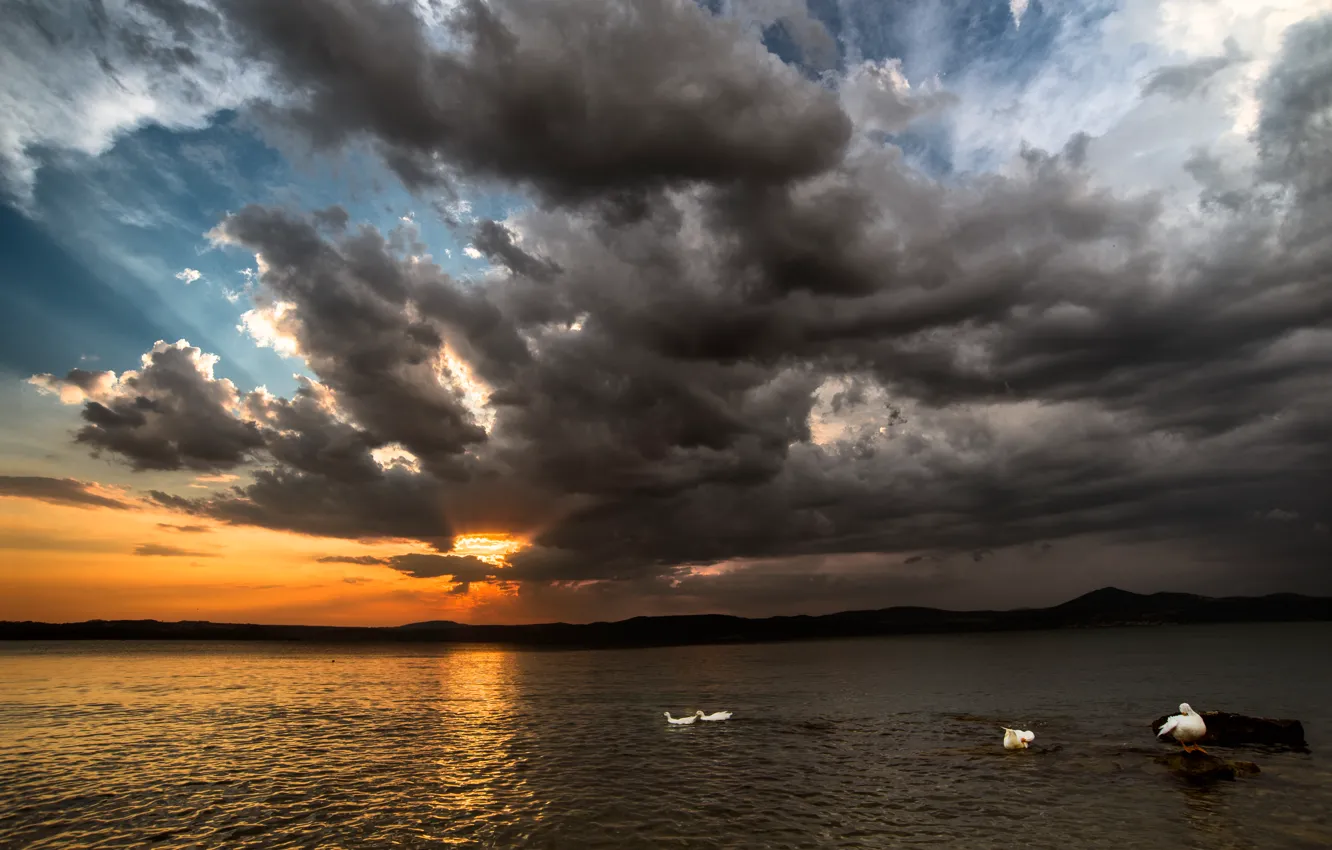 Photo wallpaper clouds, sunset, lake, hills, duck, storm, storm, sunset