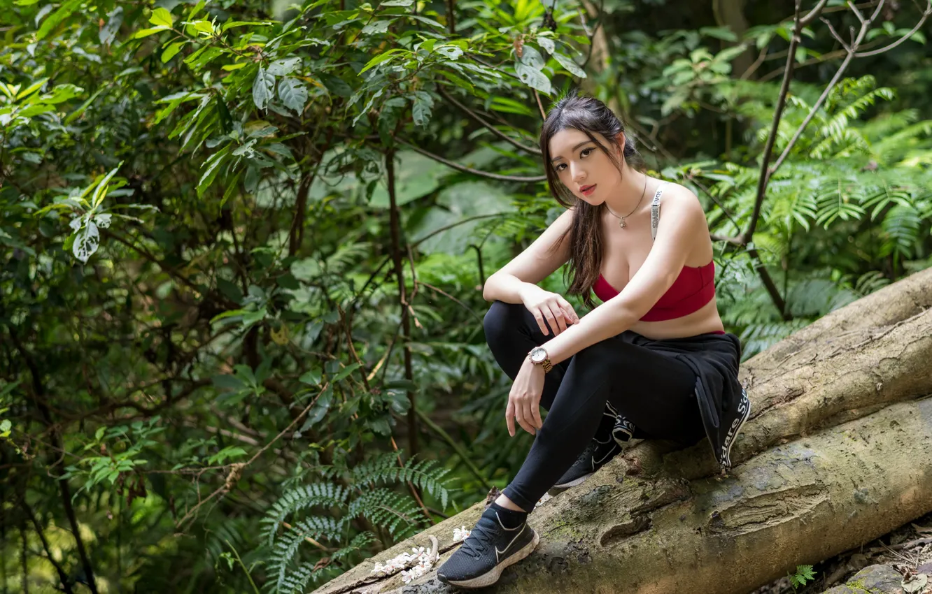 Photo wallpaper look, log, Asian