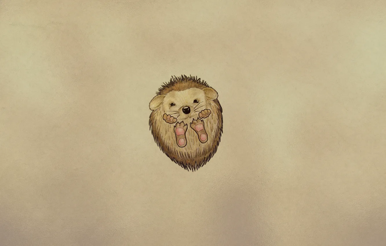 Photo wallpaper minimalism, hedgehog, hedgehog