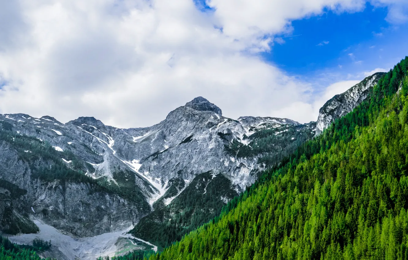 Photo wallpaper forest, clouds, mountains, slope