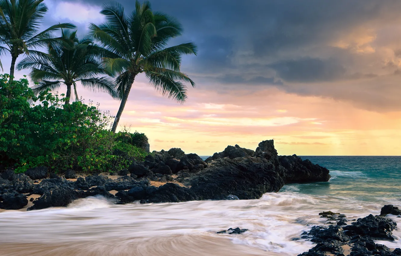 Photo wallpaper beach, nature, hawaii