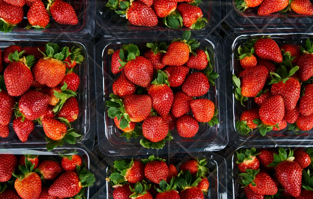 Photo wallpaper berries, harvest, strawberry, containers, packaging, trays, Victoria, boxes