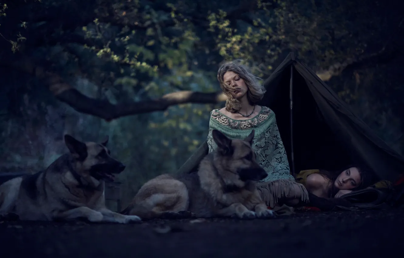 Photo wallpaper forest, dogs, girls, tent, Wild, Young