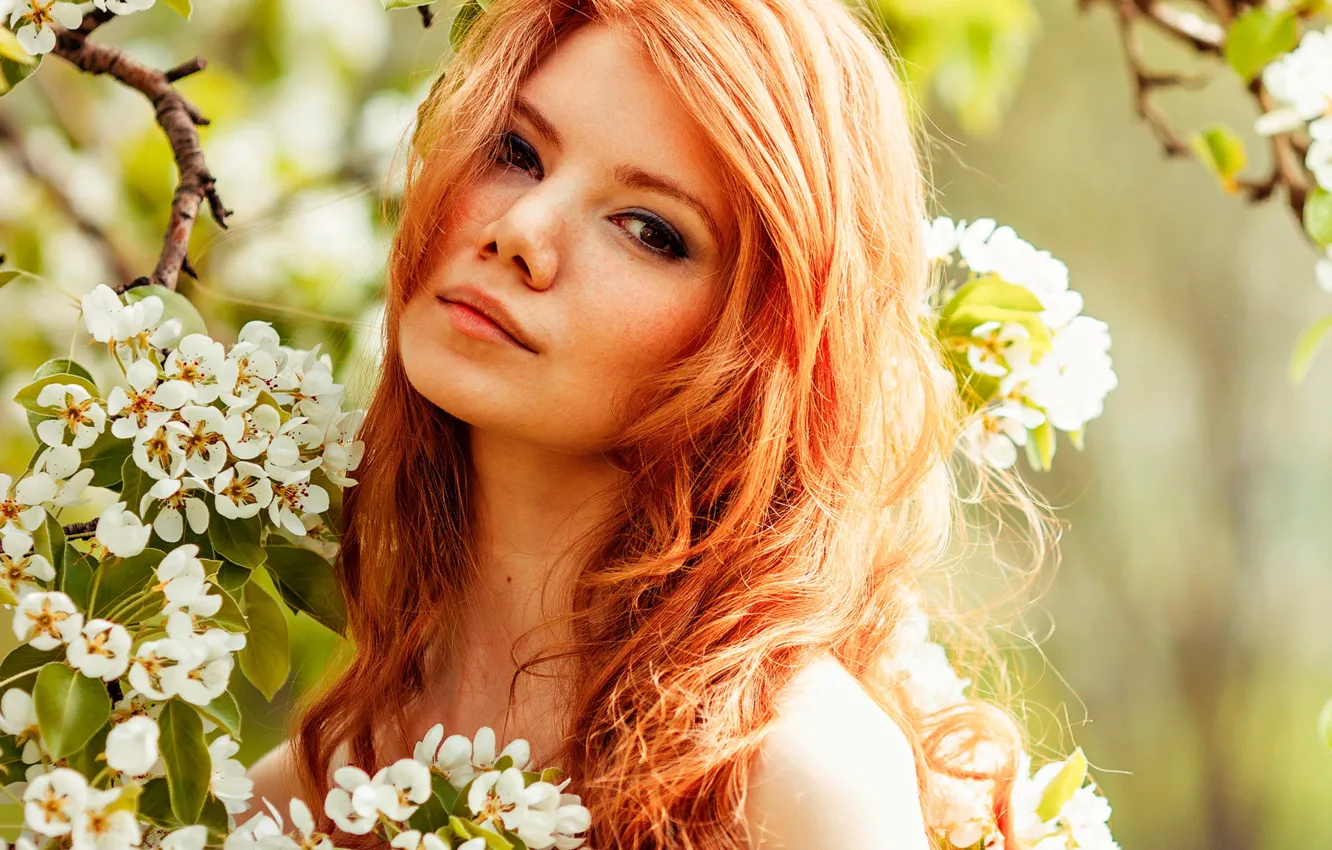 Photo wallpaper look, girl, the sun, trees, branches, portrait, spring, makeup