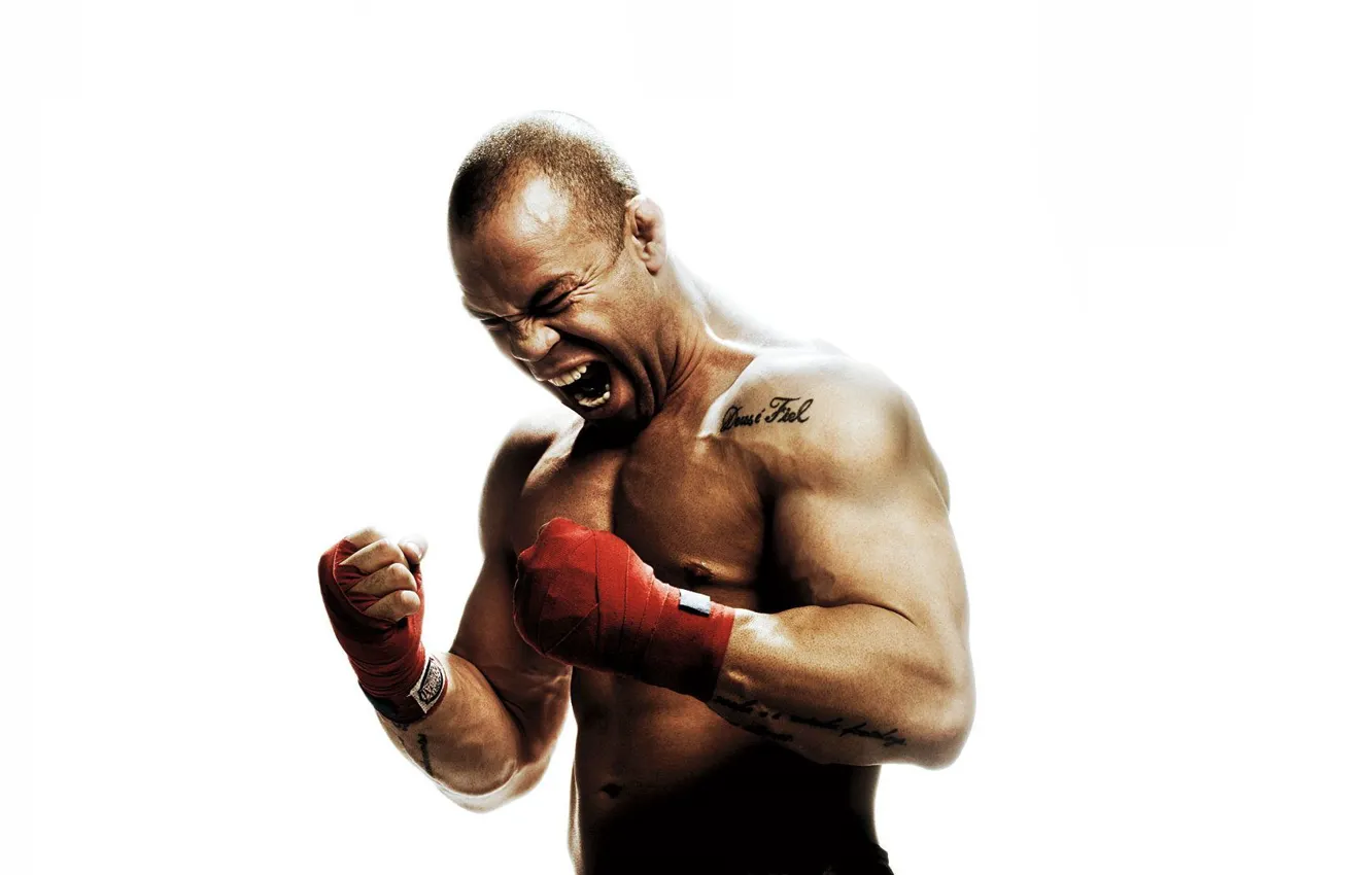 Photo wallpaper fighter, fighter, mma, ufc, mixed martial arts, Wanderlei Silva, Wanderlei Silva