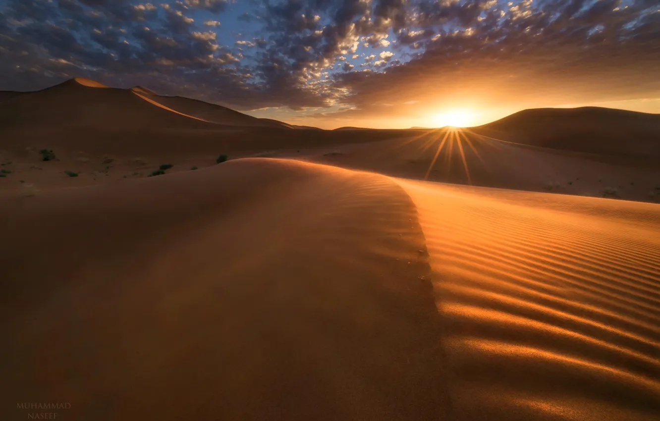 Photo wallpaper landscape, sunset, desert, dunes
