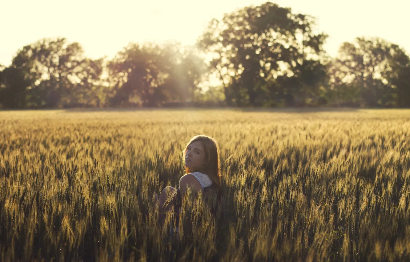 Photo wallpaper field, girl, light, mood