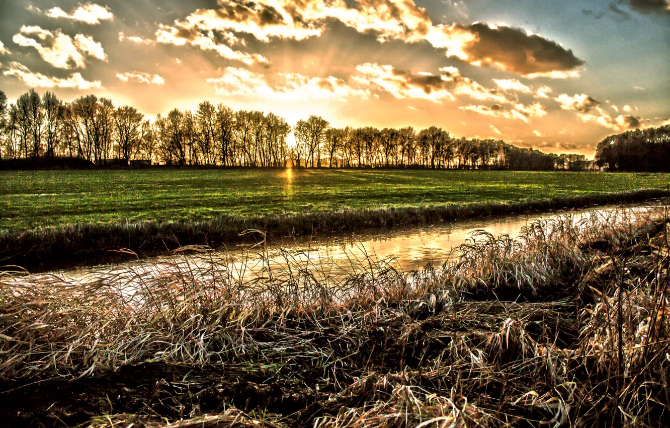 Photo wallpaper field, the sun, trees, sunset, channel