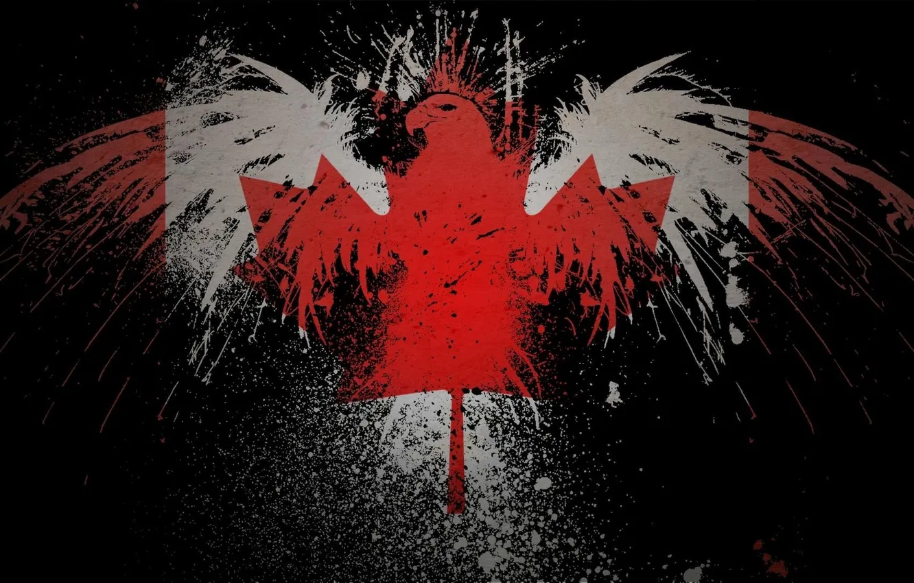 Photo wallpaper style, eagle, Canada