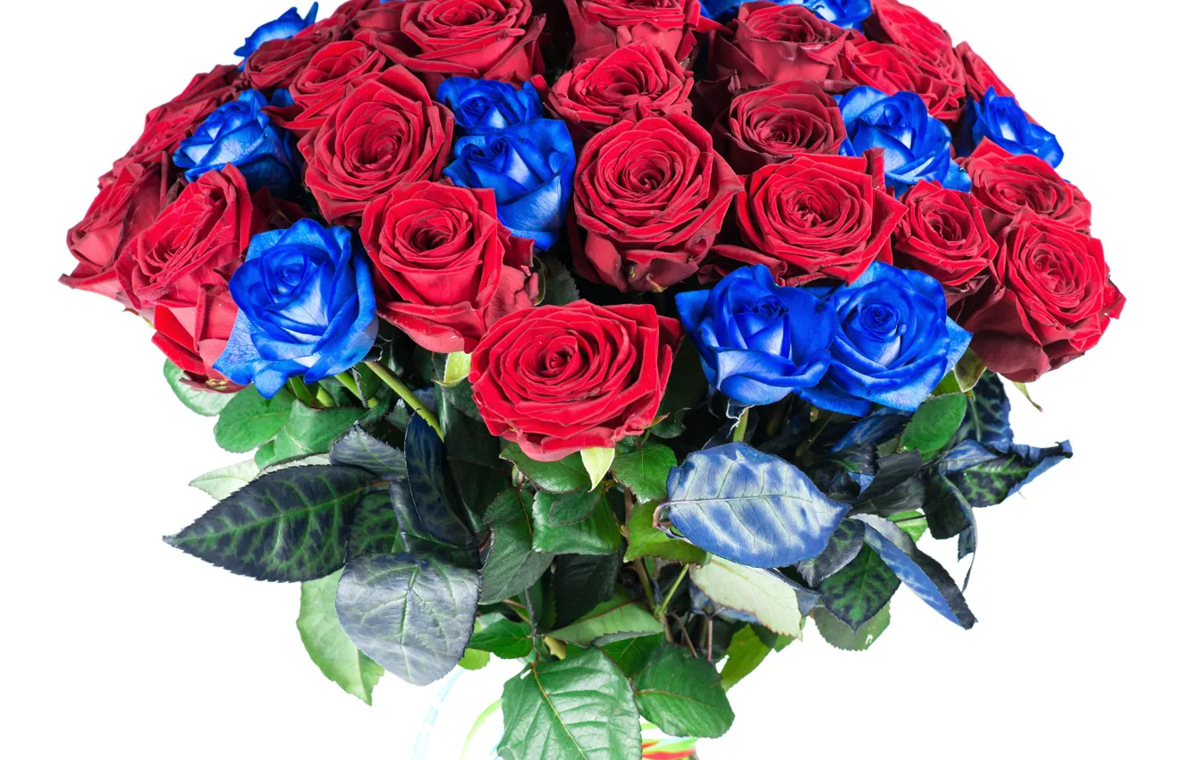 Photo wallpaper roses, bouquet, red, blue, Roses, Bouquets