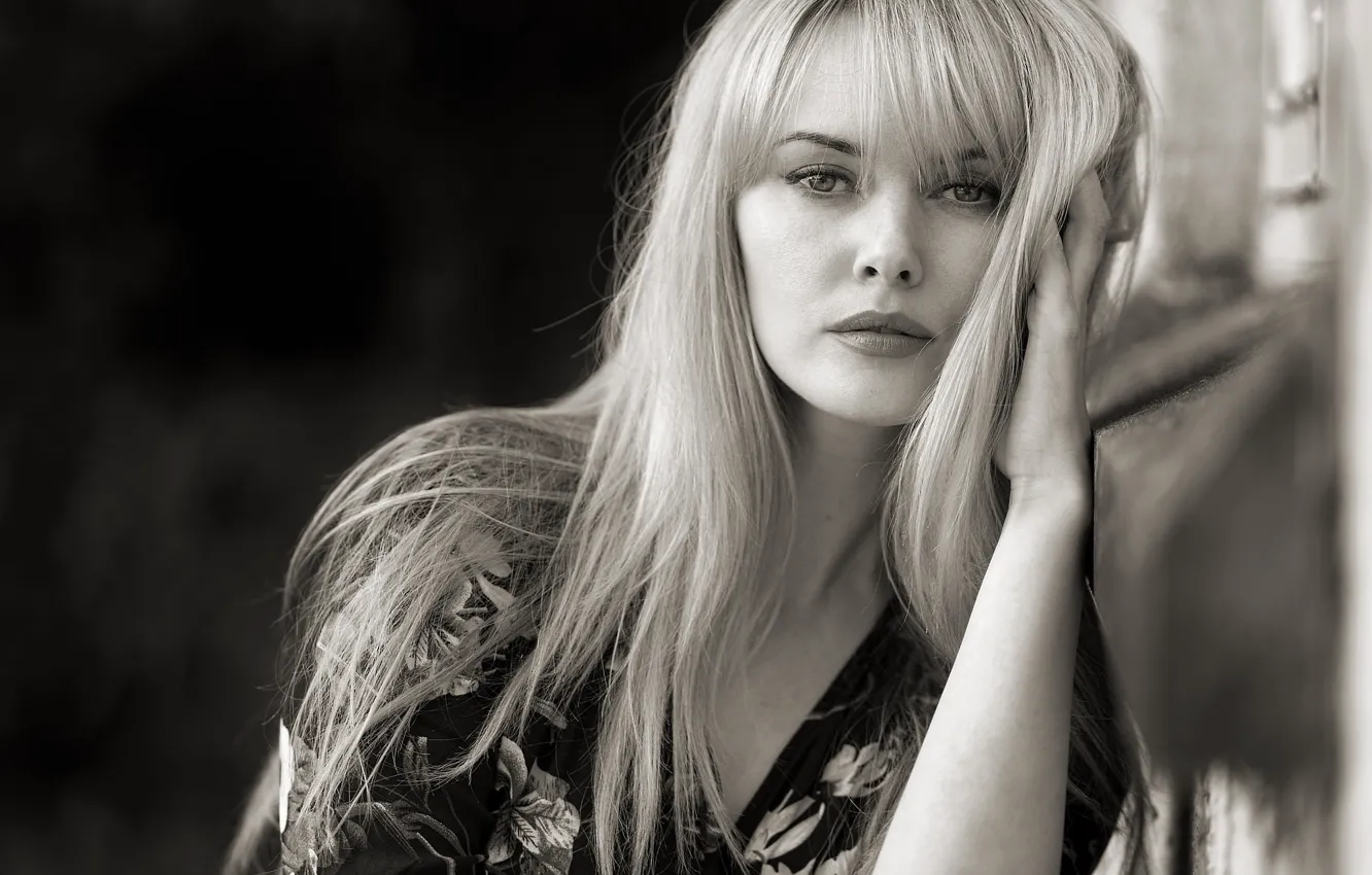Photo wallpaper look, girl, photo, model, hair, portrait, blonde, black and white