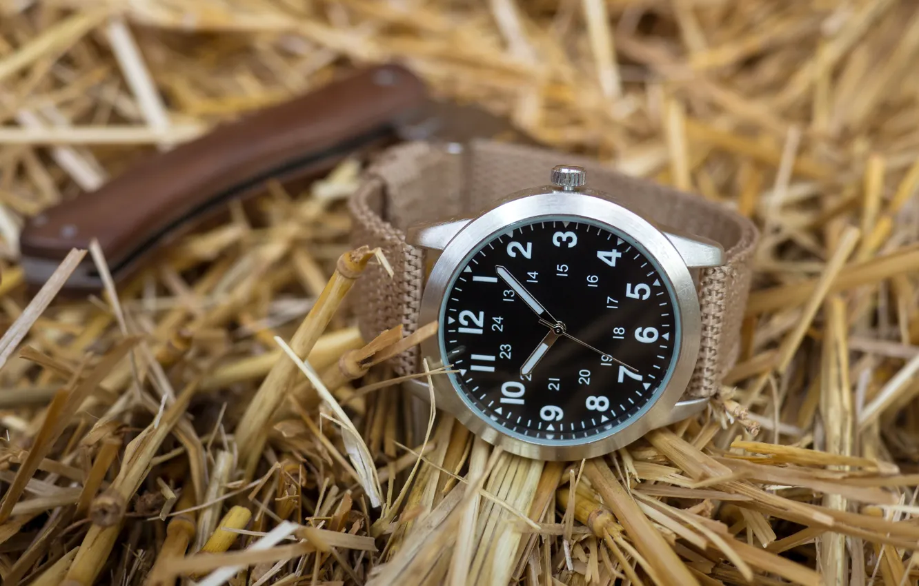 Photo wallpaper watch, hay, dial