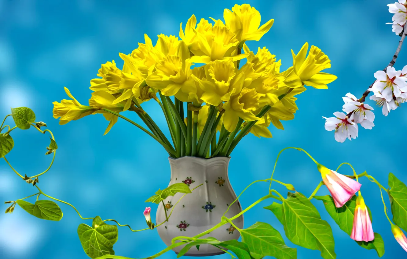 Photo wallpaper graphics, flowers, Narcissus
