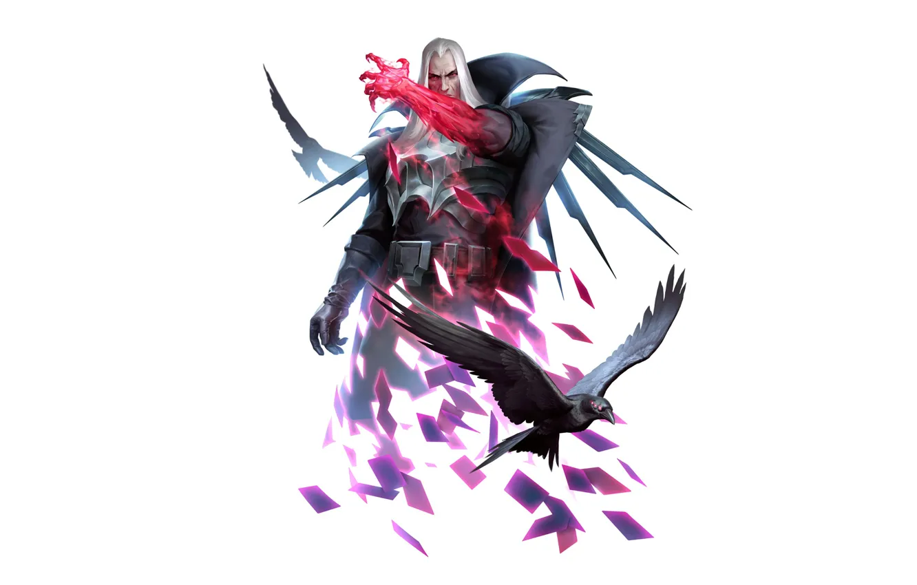 Photo wallpaper bird, Swain, Legends of Runeterra