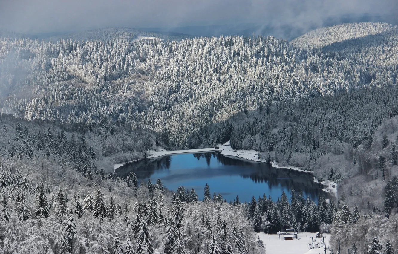 Photo wallpaper Winter, Lake, Forest
