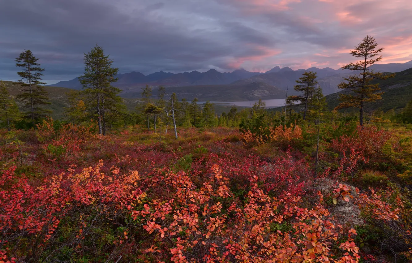 Photo wallpaper autumn, the sky, trees, mountains, clouds, nature, rocks, Russia
