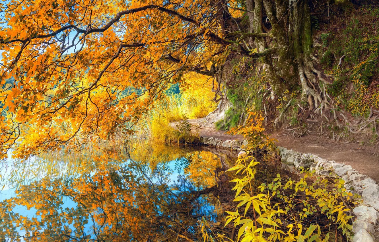 Photo wallpaper autumn, pond, Park, reflection