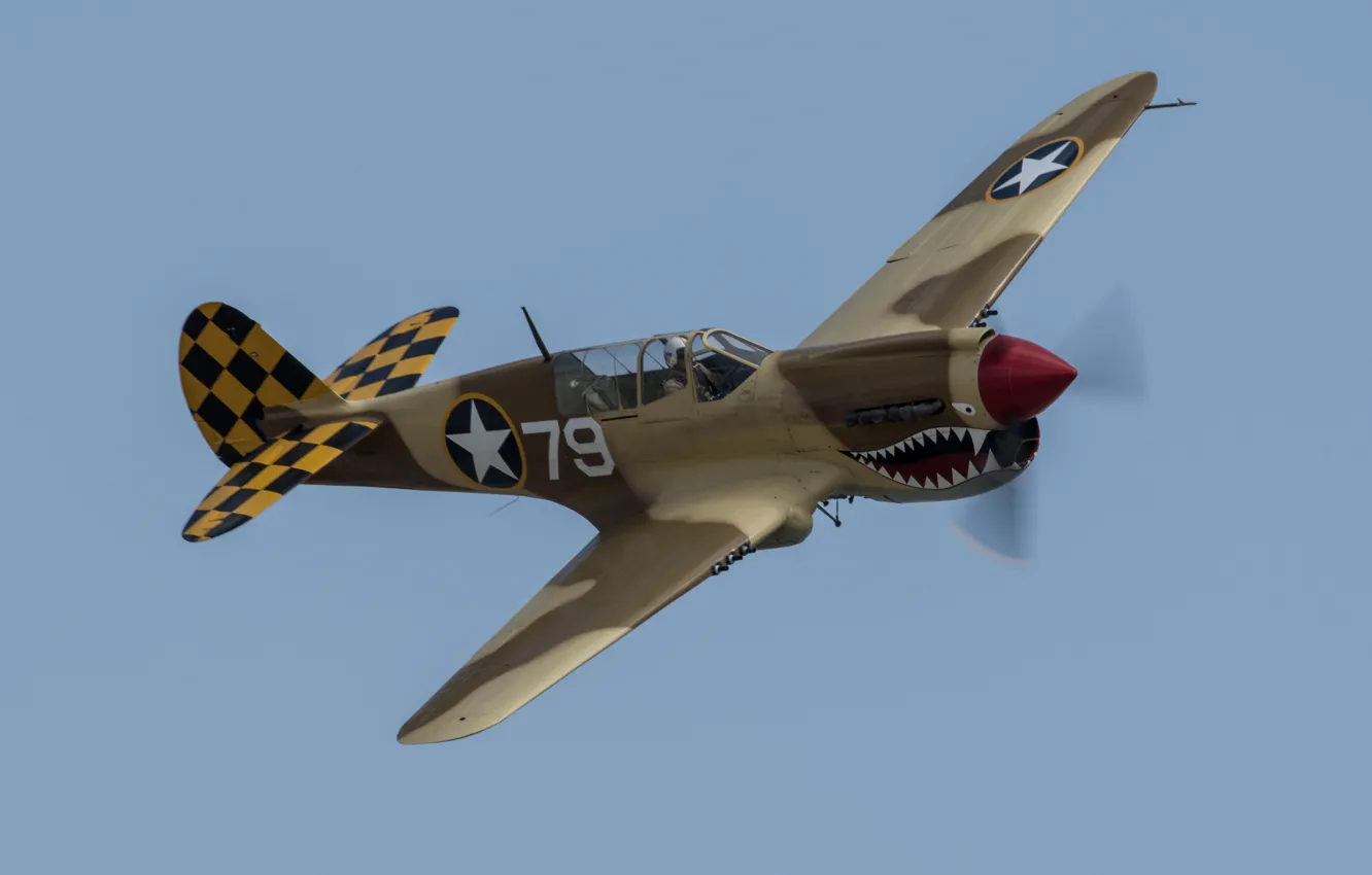 Photo wallpaper flight, fighter, P-40, Warhawk