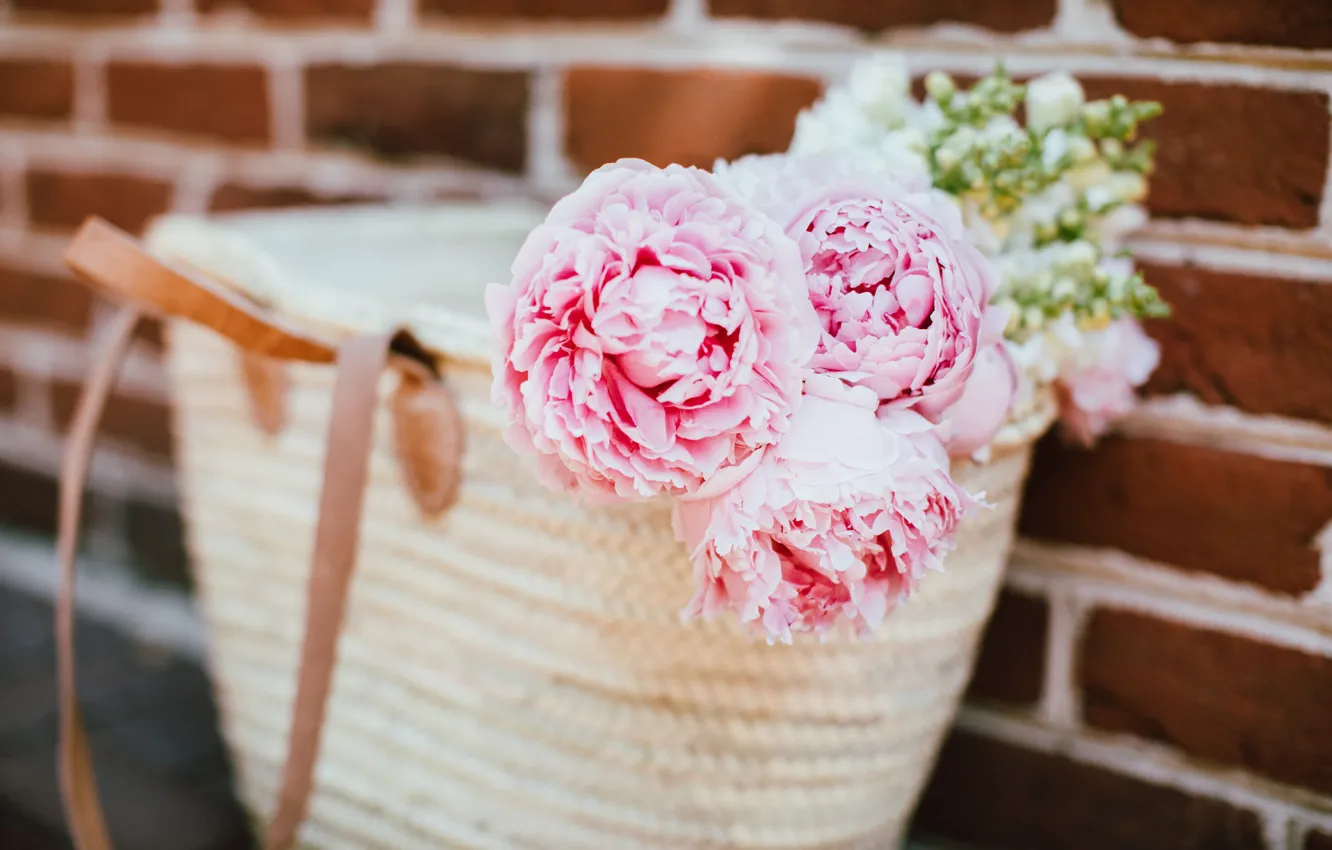 Photo wallpaper flowers, petals, pink, bag, peonies