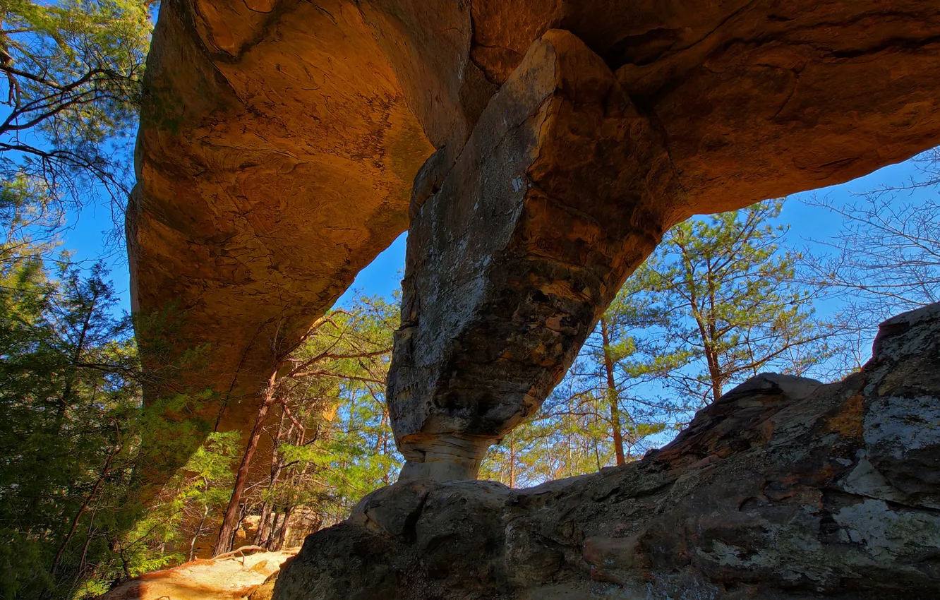 Photo wallpaper the sky, trees, rocks, arch, USA, Kentucky, Wolf