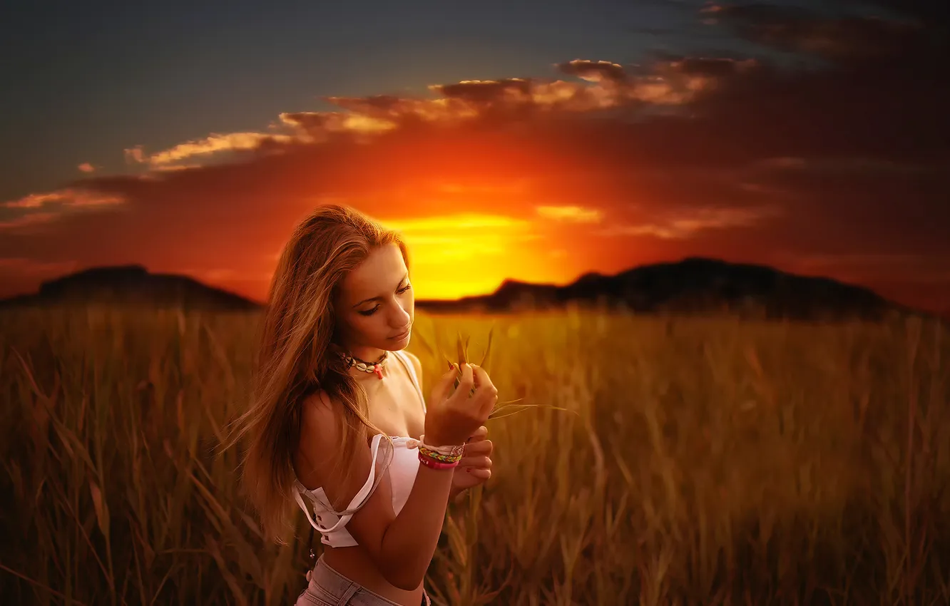 Photo wallpaper field, girl, the sun, sunset