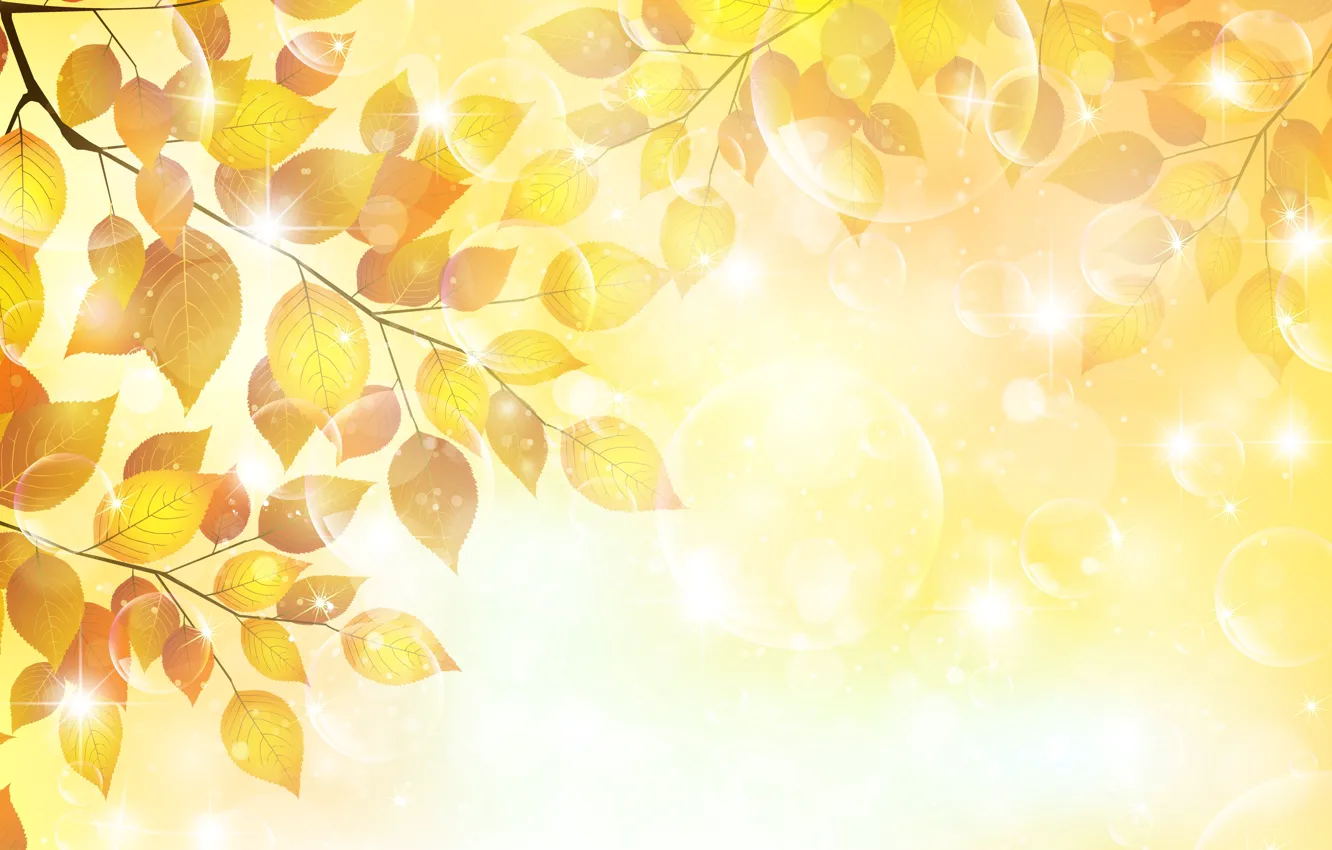Photo wallpaper autumn, leaves, bubbles, sprig, Shine