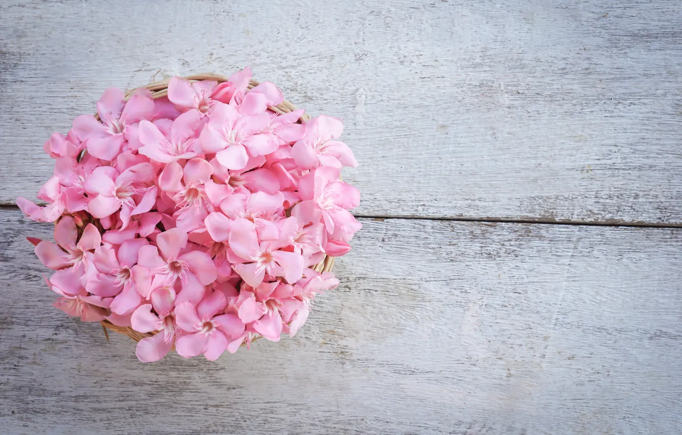 Photo wallpaper flowers, pink, wood, pink, flowers