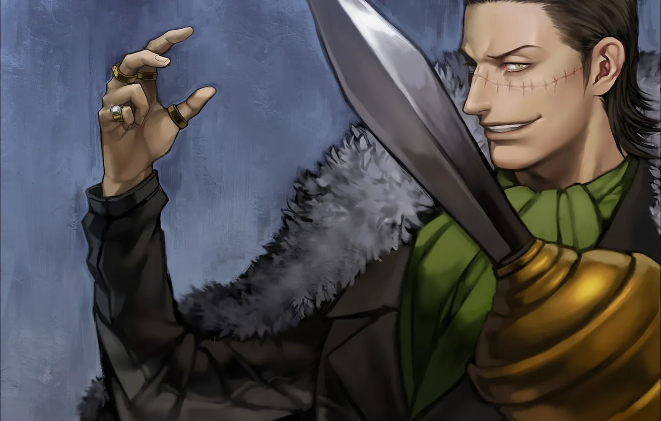 Photo wallpaper weapons, ring, art, costume, male, One Piece, scar, sir crocodile