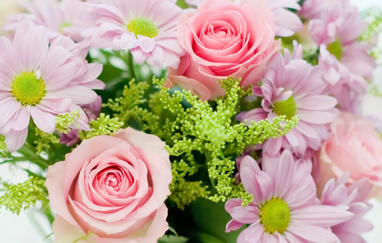 Photo wallpaper tenderness, roses, bouquet, composition
