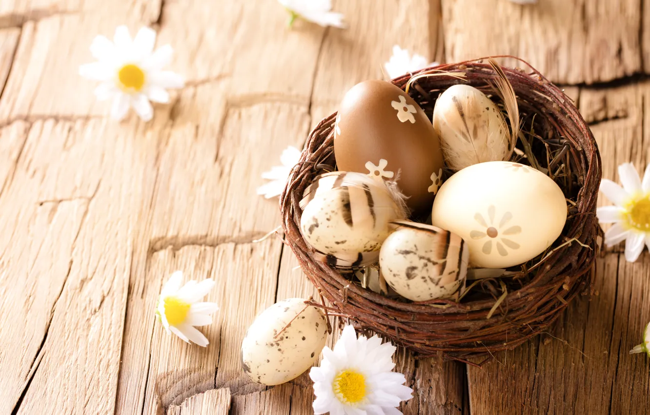 Photo wallpaper chamomile, eggs, Easter, wood, flowers, eggs, easter, camomile