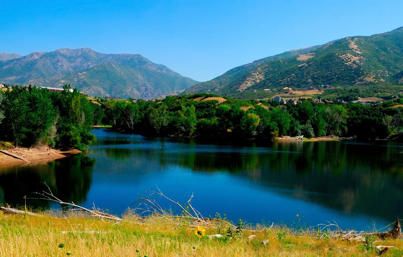 Photo wallpaper forest, mountains, house, pond