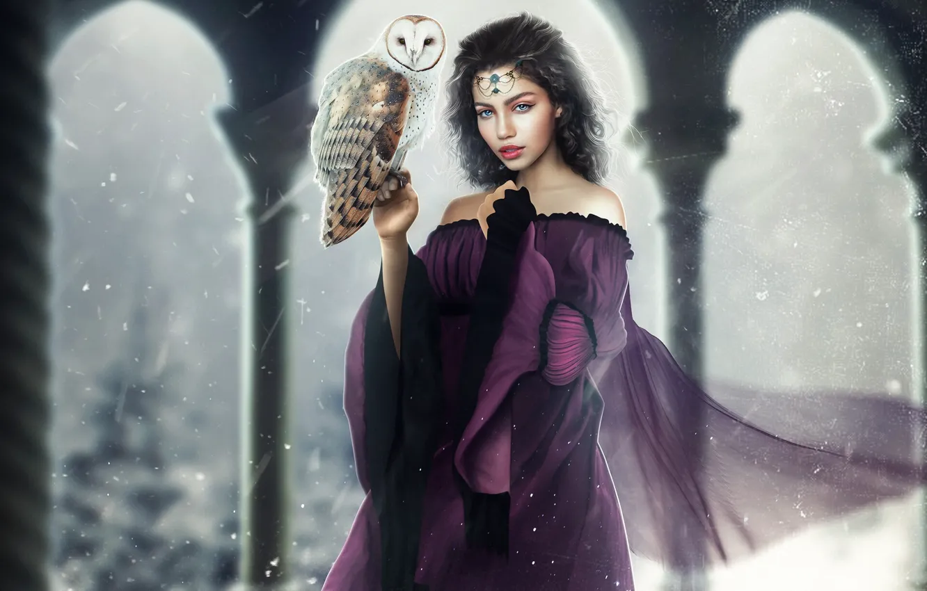 Photo wallpaper girl, style, fiction, owl, bird, dress, brunette, art