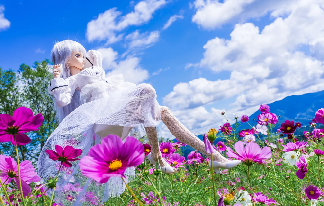Photo wallpaper flowers, doll, kosmeya