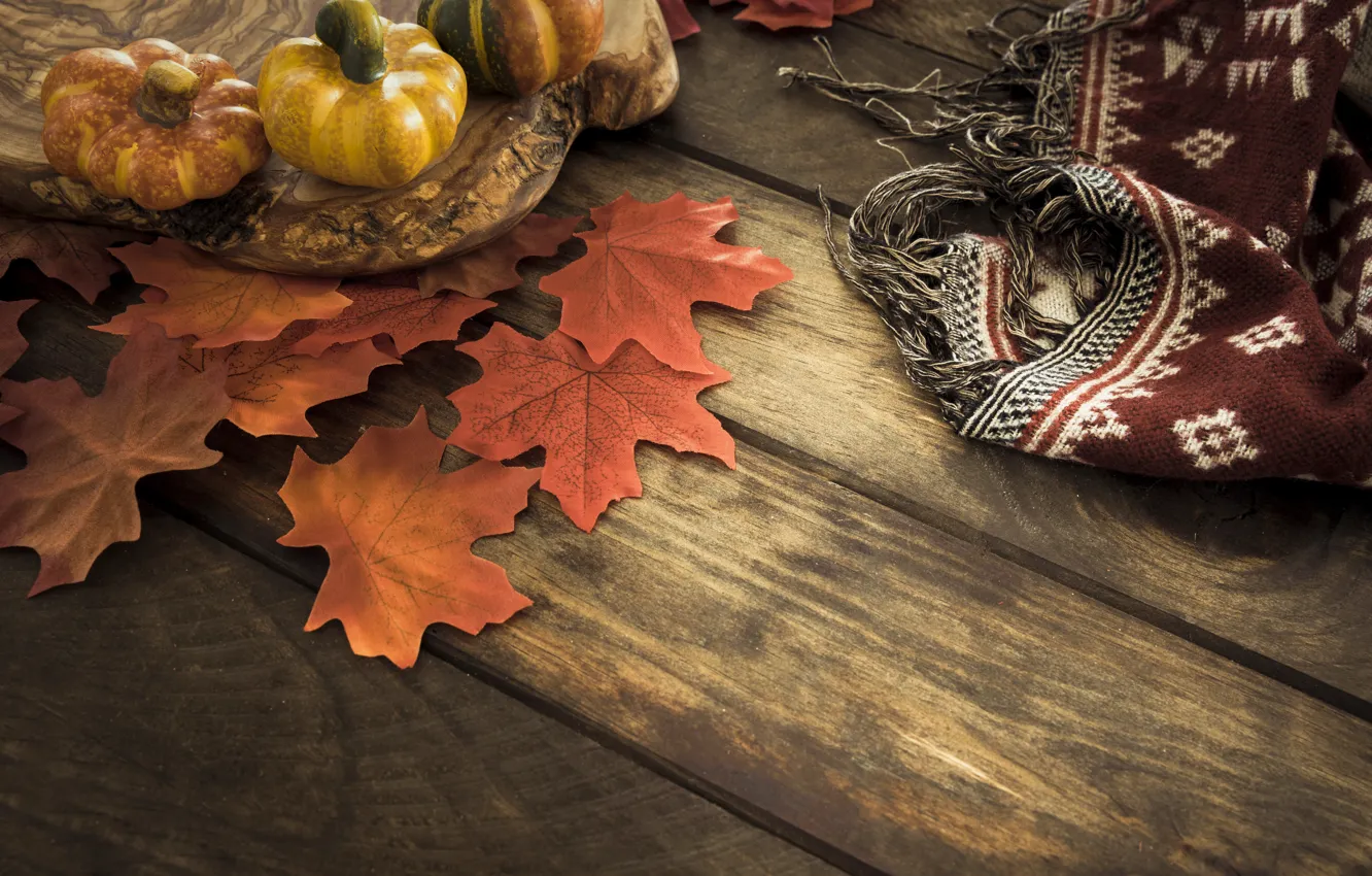 Photo wallpaper autumn, leaves, background, tree, Board, colorful, pumpkin, maple