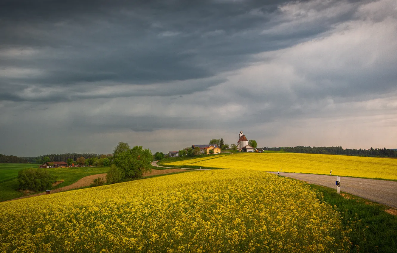 Photo wallpaper road, field, the sky, clouds, flowers, clouds, hills, spring