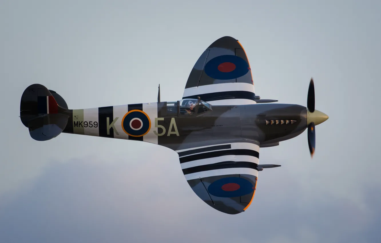 Photo wallpaper fighter, British, Spitfire, single-engine