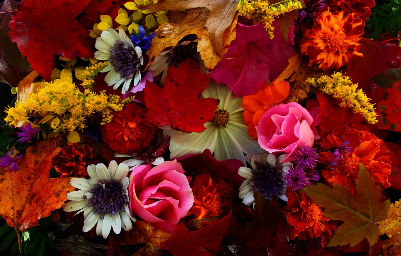 Photo wallpaper autumn, leaves, bouquet, petals, still life