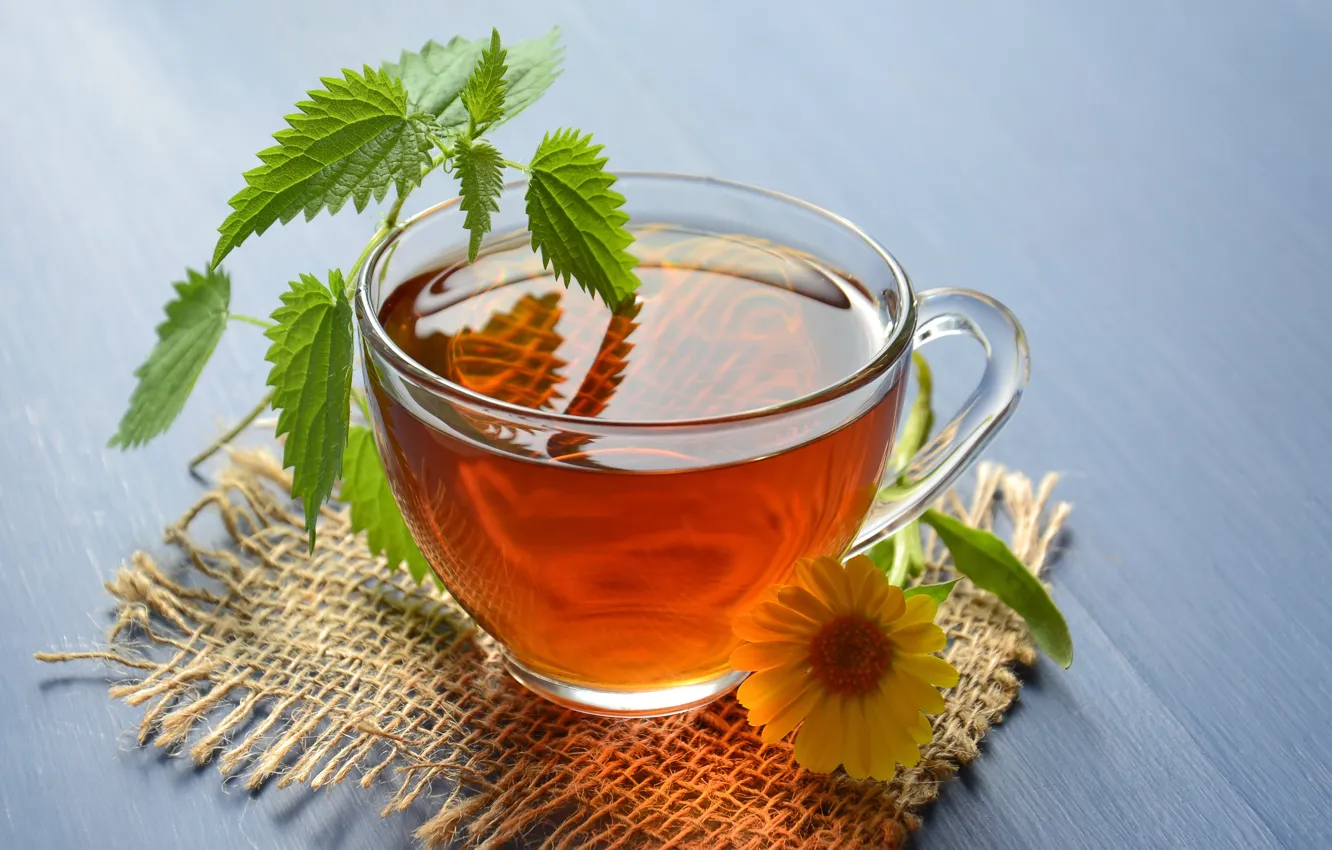 Photo wallpaper glass, flowers, table, tea, Cup, drink, napkin, nettle