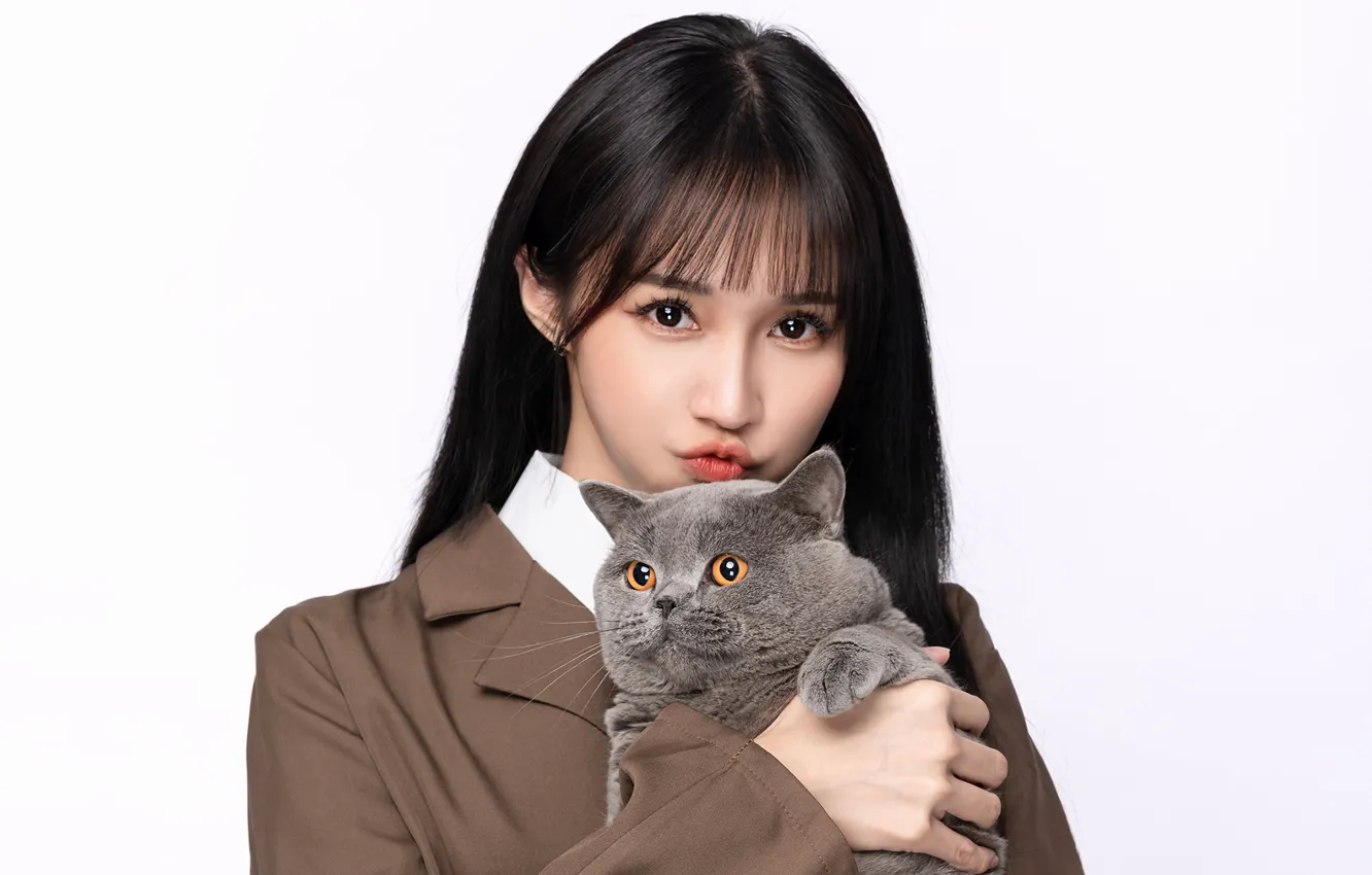 Photo wallpaper cat, look, girl, brunette, Asian