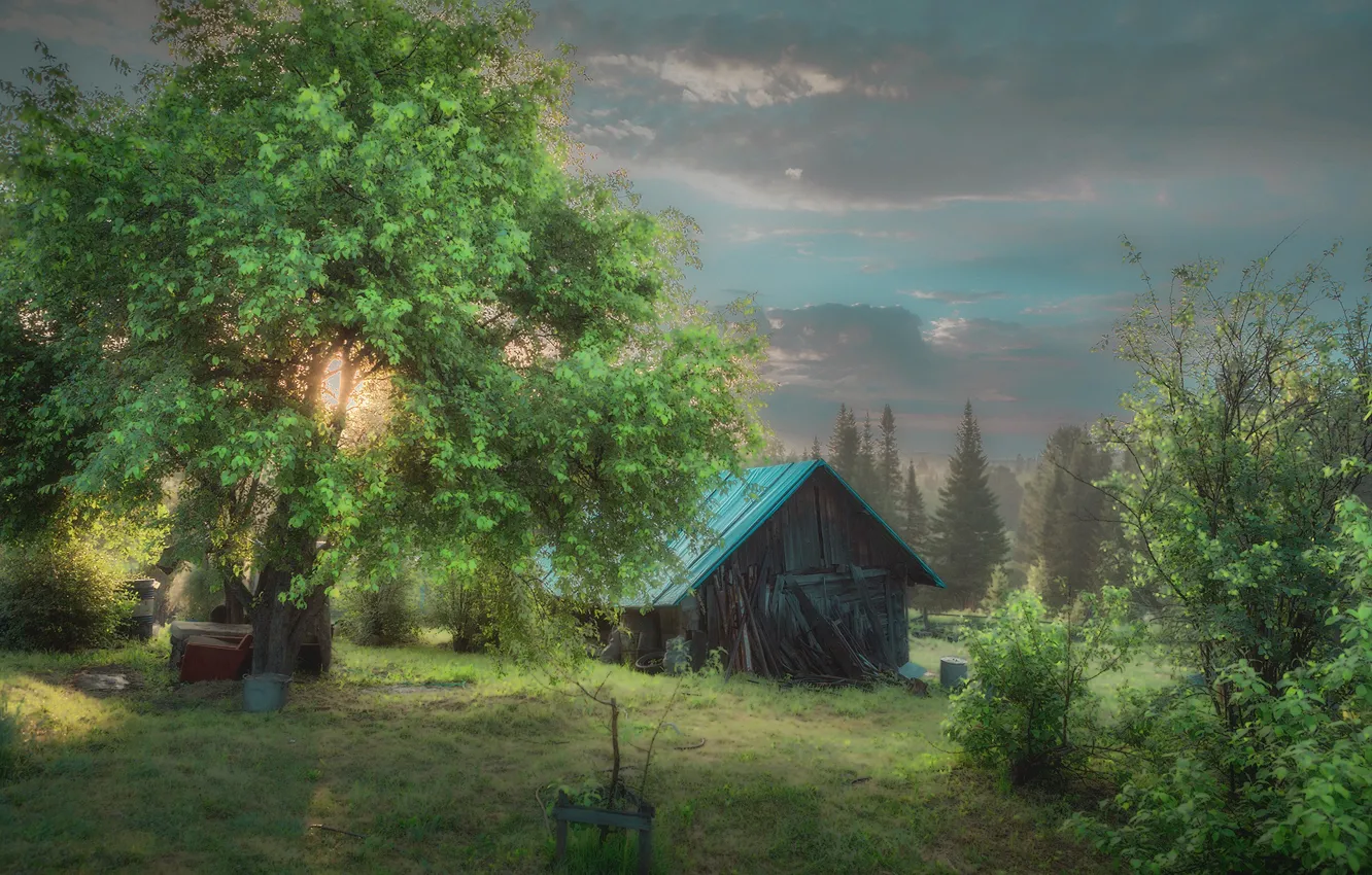 Photo wallpaper field, trees, house