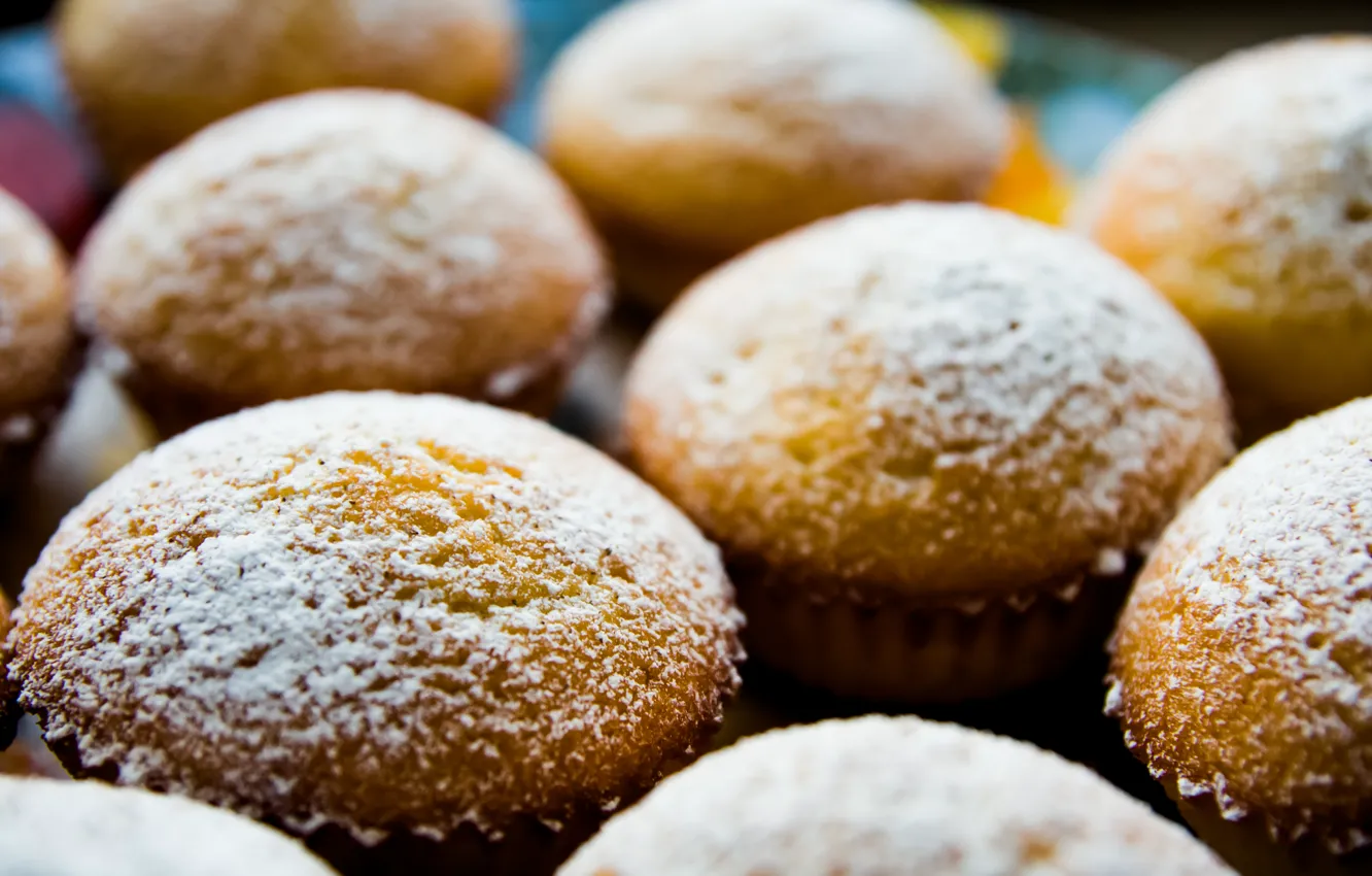 Photo wallpaper food, cake, cakes, cupcakes, powder, baking, muffin, Muffin
