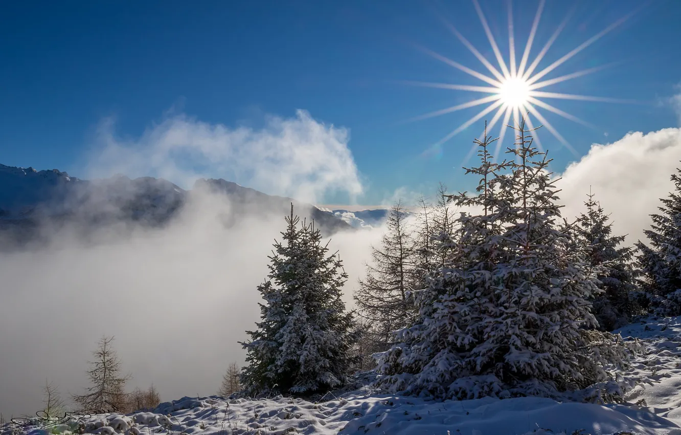 Photo wallpaper the sun, snow, mountains, tree