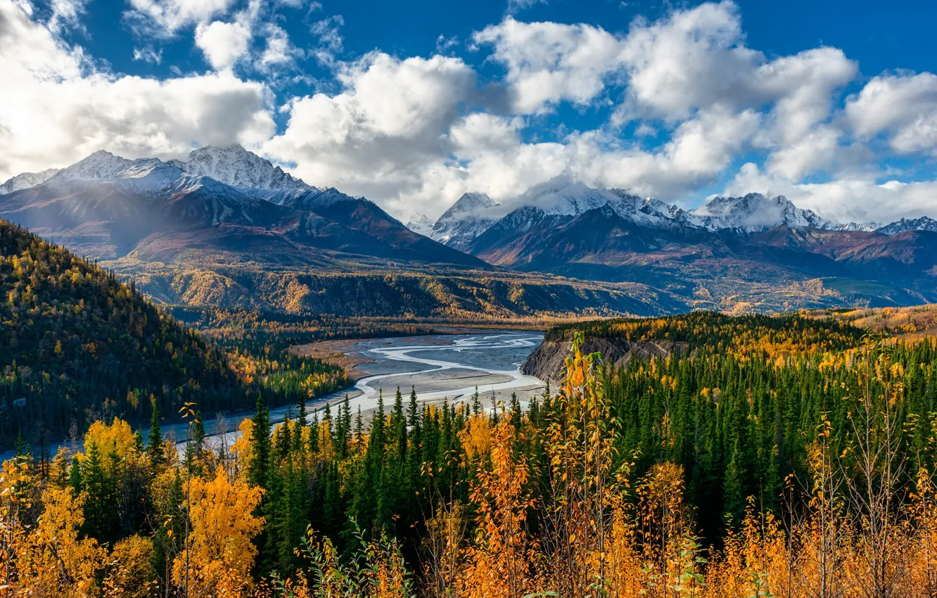 Photo wallpaper autumn, forest, the sky, clouds, light, mountains, branches, river