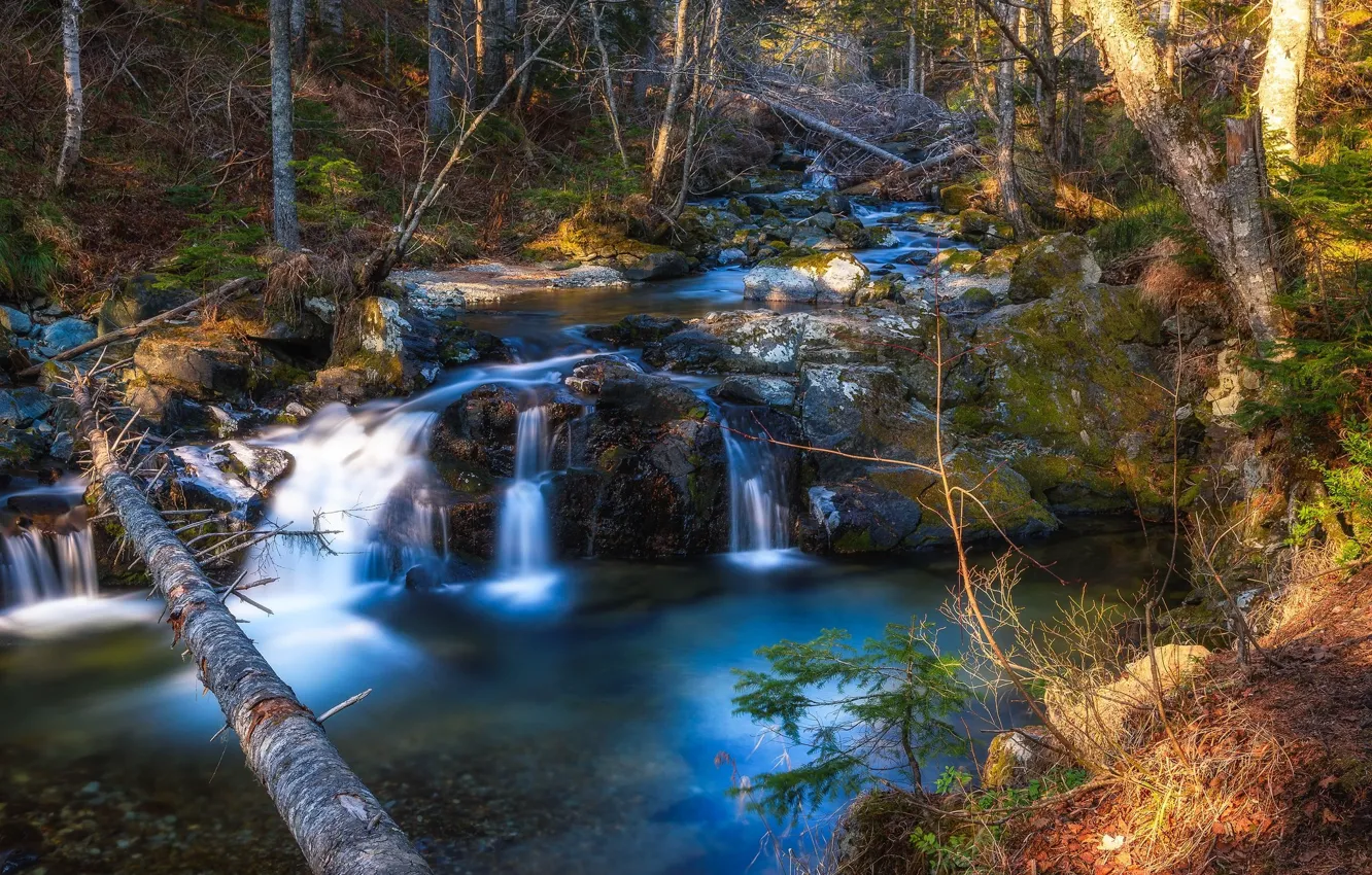 Photo wallpaper lake, stream, waterfall