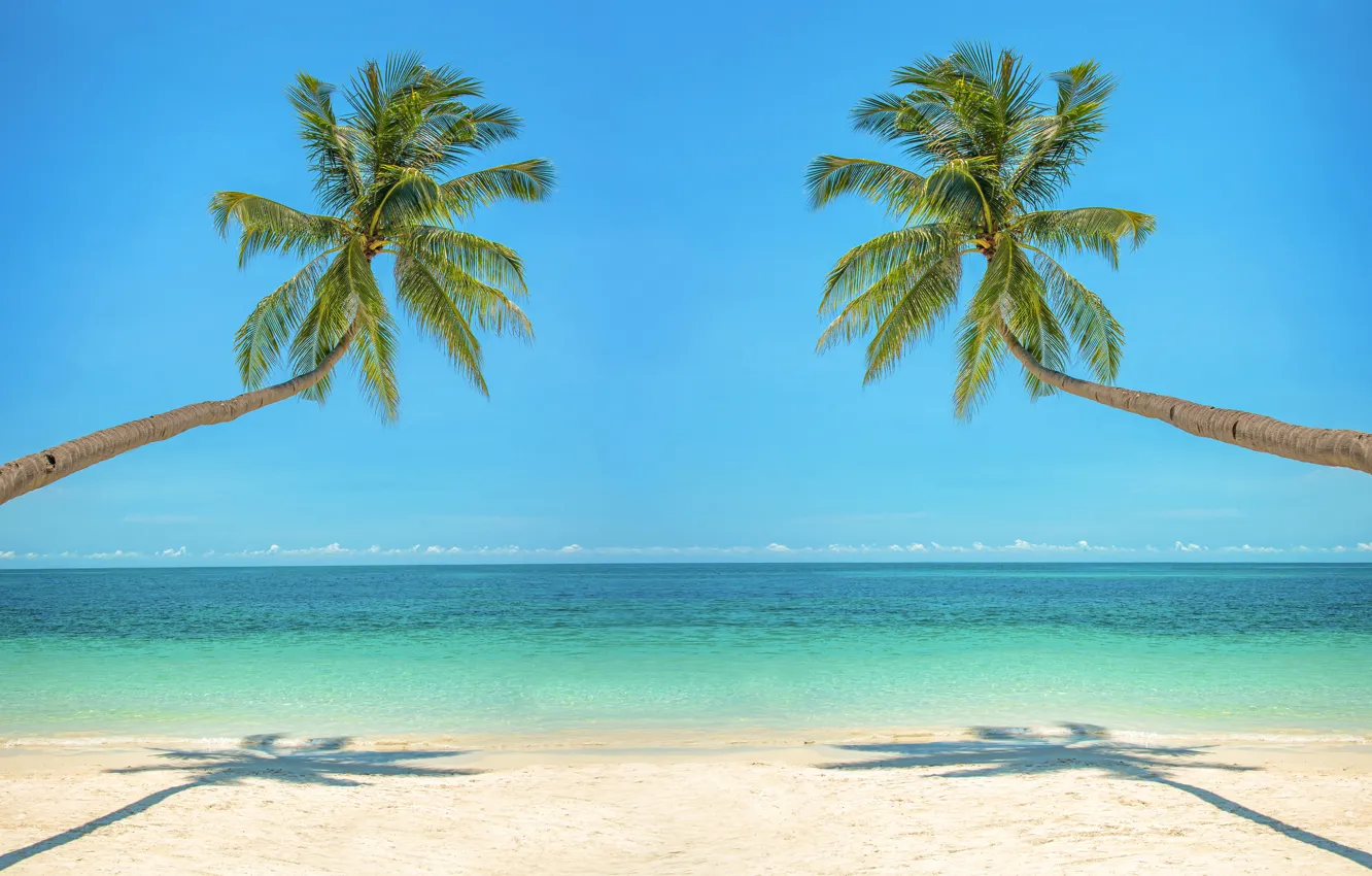 Photo wallpaper sand, sea, beach, the sky, the sun, tropics, palm trees, shore