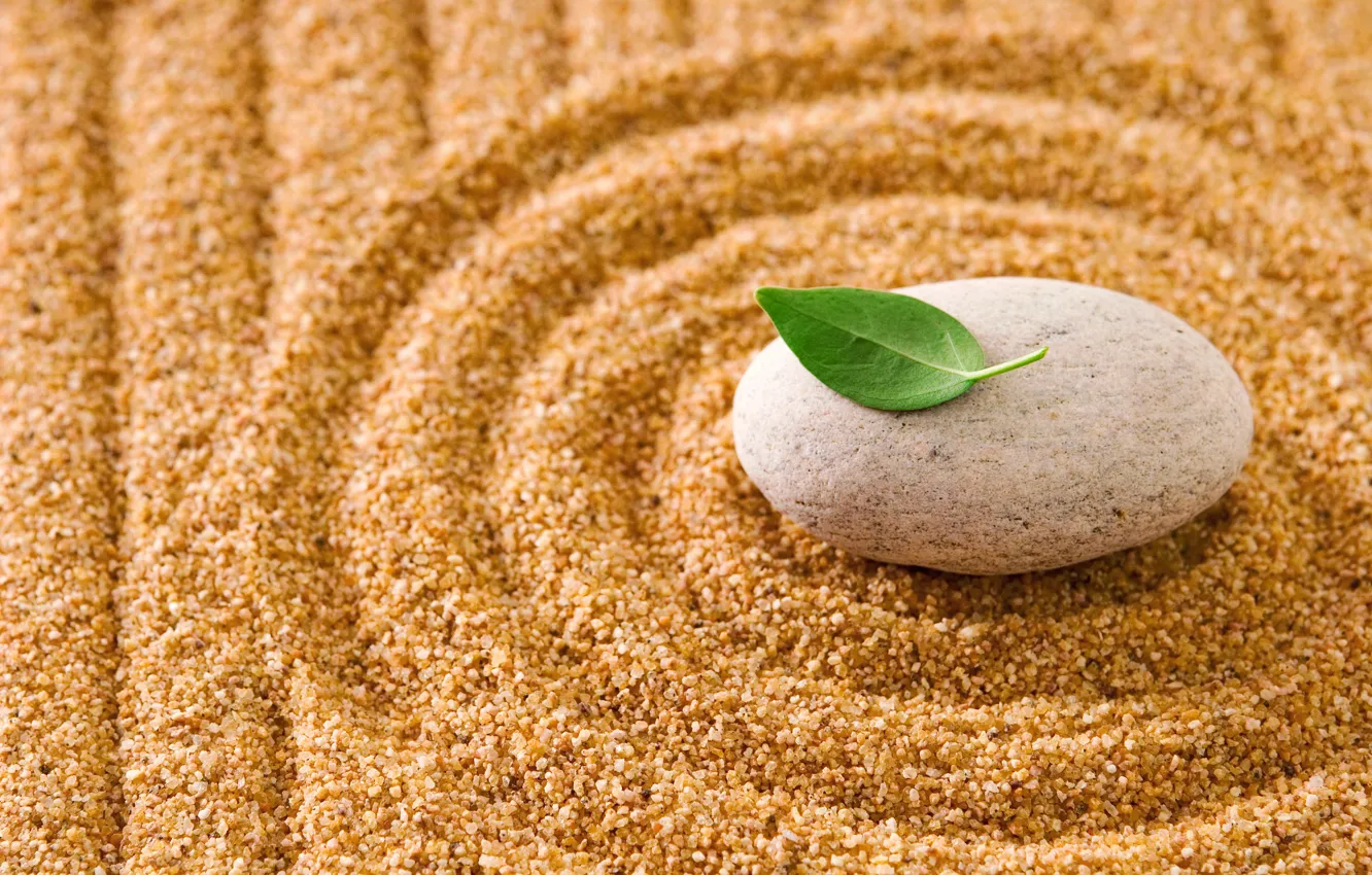 Photo wallpaper sand, stones, leaf, stone, sand, zen