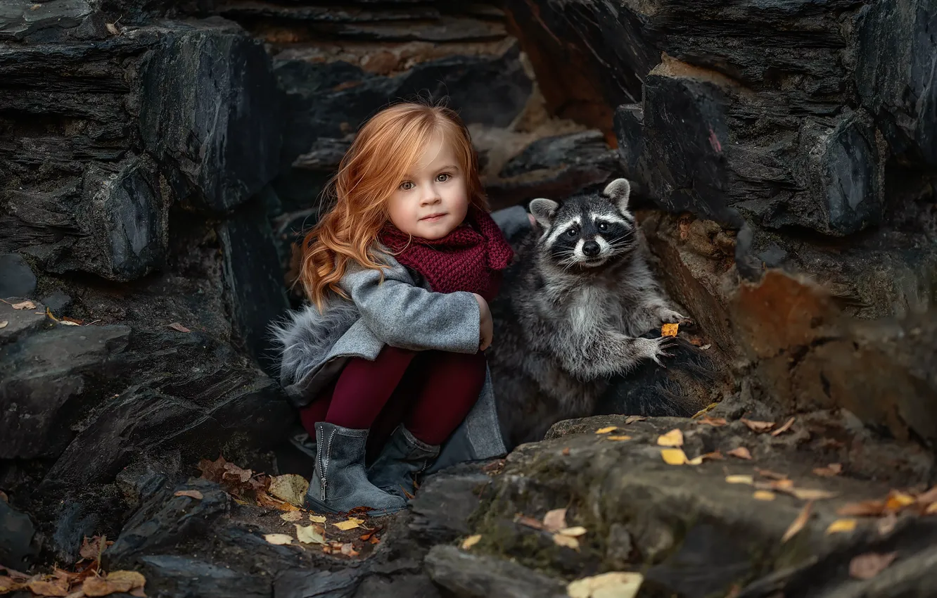 Photo wallpaper autumn, each, girl, raccoon, Elena Solovyova
