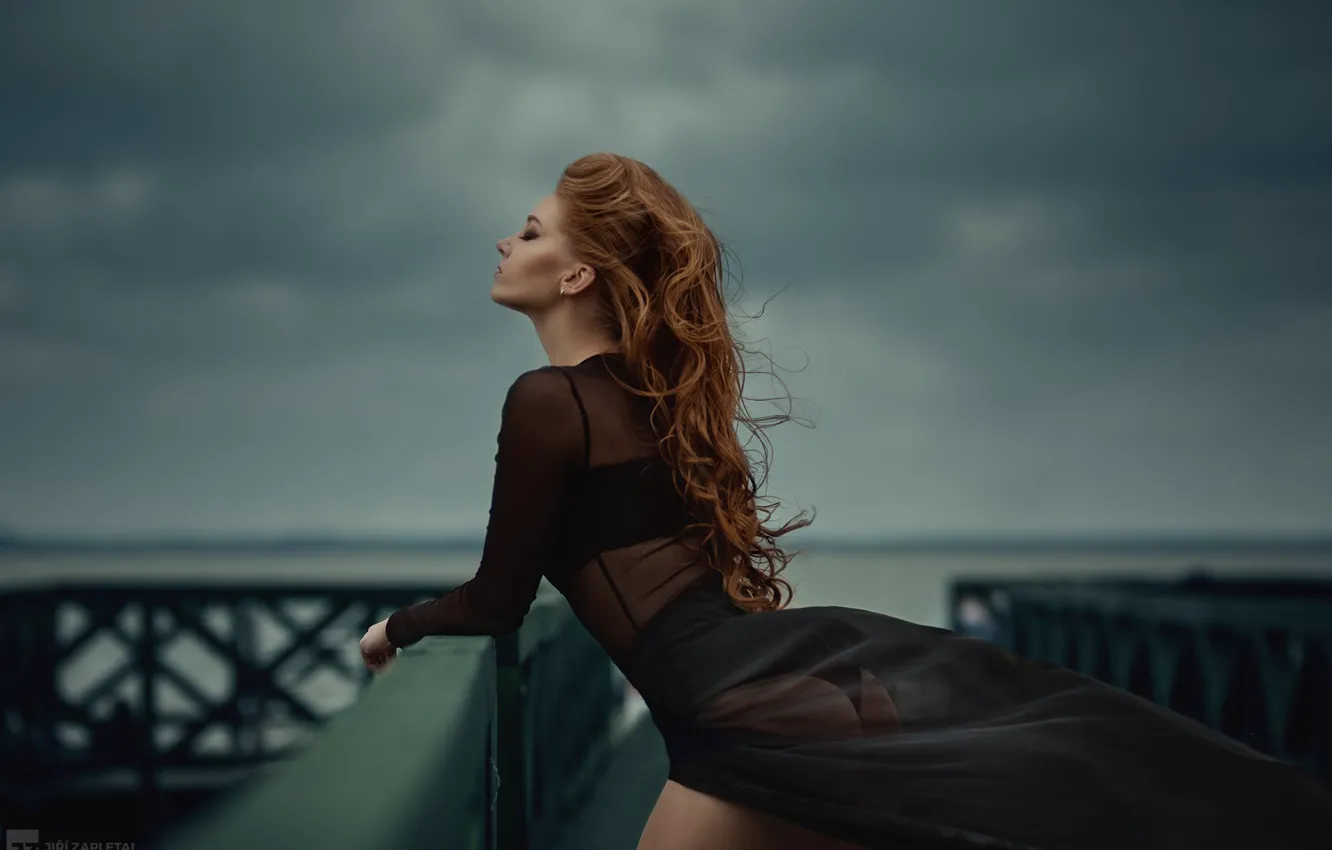 Photo wallpaper girl, pose, hair, dress, pierce, beauty, Lena Zemanova, JIRI ZAPLETAL