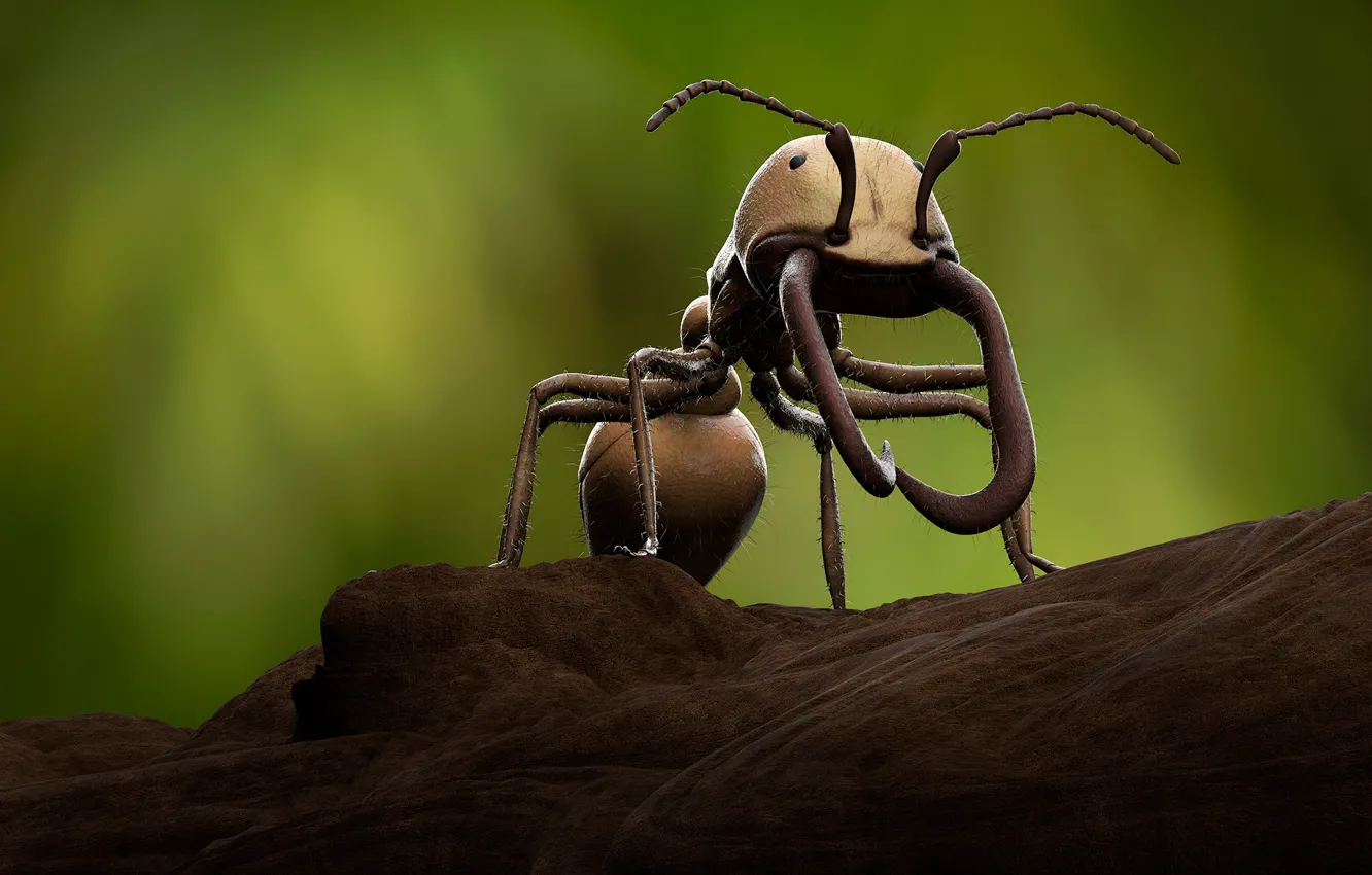 Photo wallpaper macro, rendering, ant, fangs, insect, green background, digital art, comp-art
