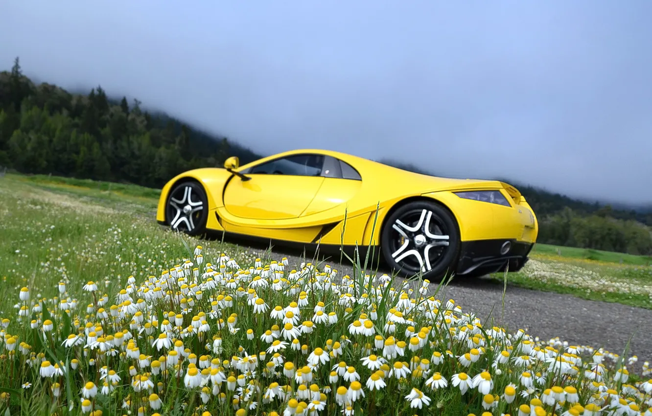 Photo wallpaper chamomile, supercar, Spania, GTA Spano